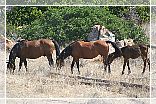 Agriturismo Sardegna